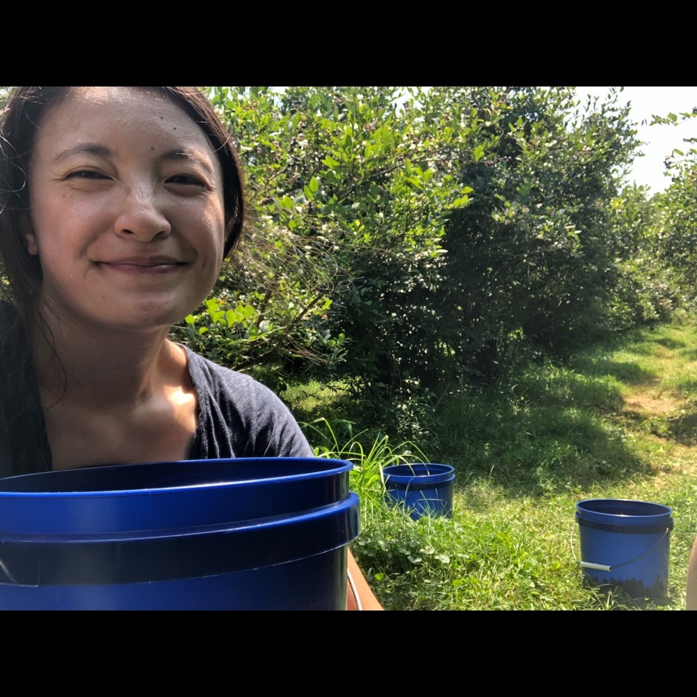 Meet your Posher, Connie